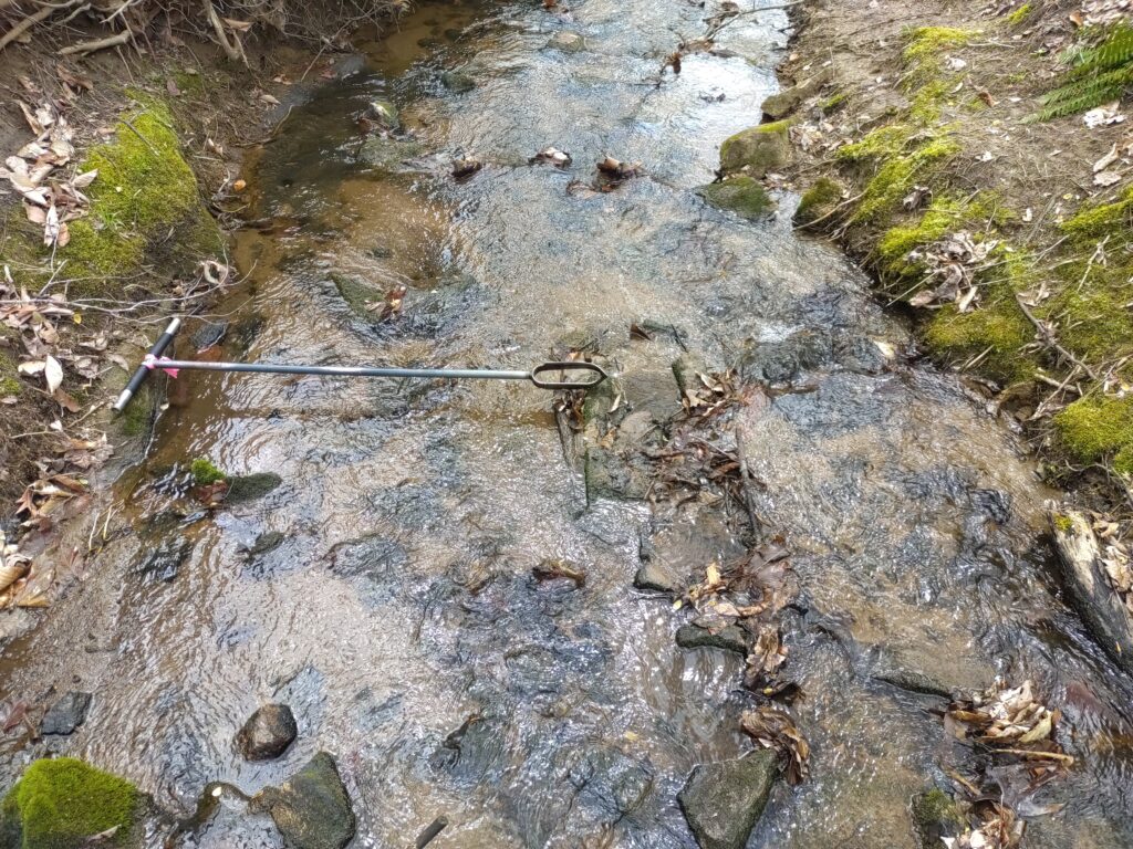 Auger pointing at rocks in the stream