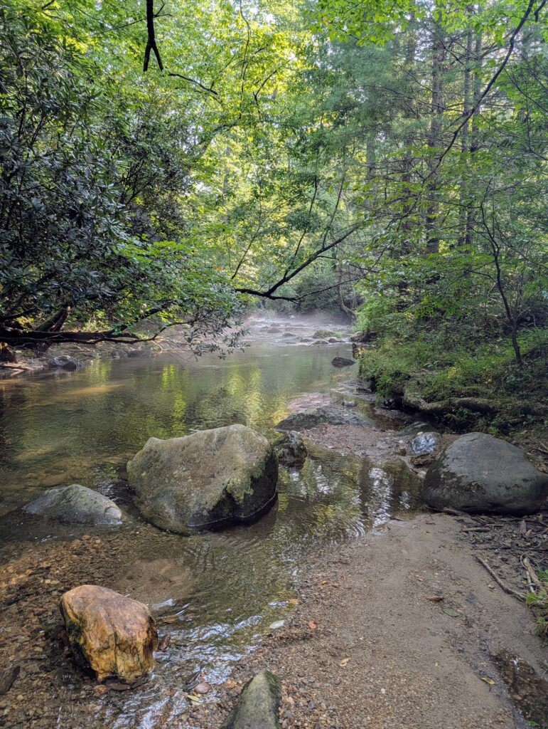 View of stream with some fog in the distance
